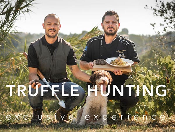 Truffle Hunting